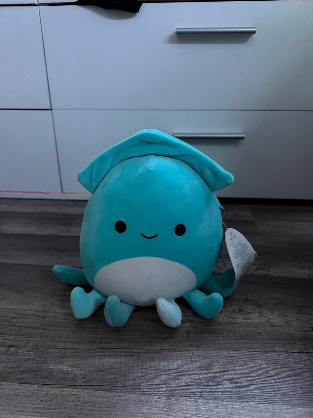 Medium Squishmallow
